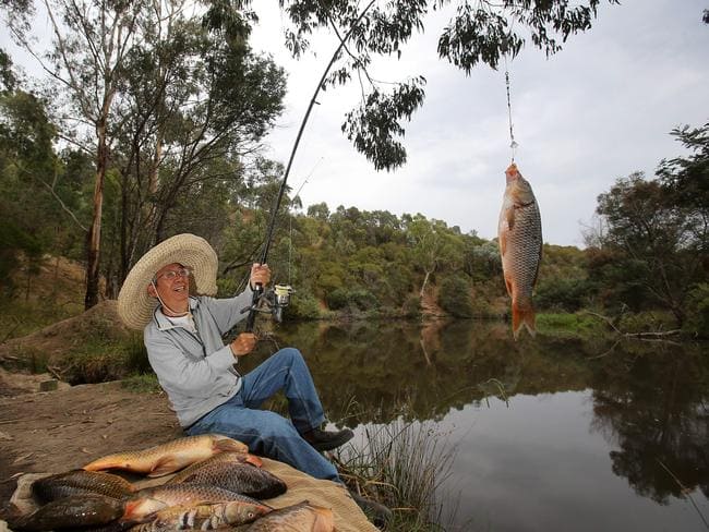 Go fishing in the fresh waters of the Yarra River: Fishing in the Yarra River.